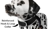 Universal Pet Tracking Collars Realtime GPS Tracker Waterproof Locator Size:XS